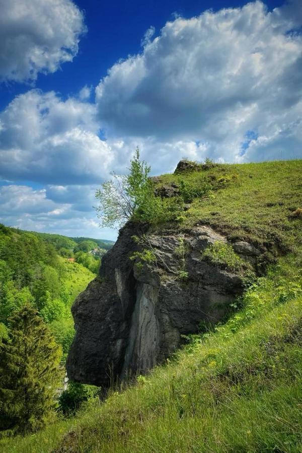 Steinberg-Blick Apartman Herzberg am Harz Kültér fotó